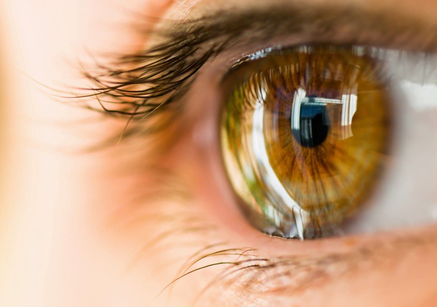 Revere Optical & Low Vision Clinic (photo: Revere Optical & Low Vision Clinic, via Google)