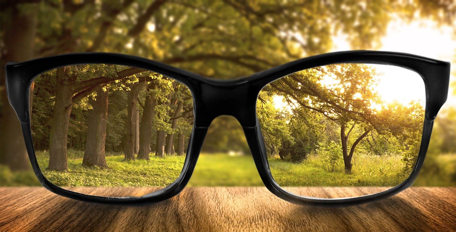 Kawartha Optimal Vision Eye Care (photo: Kawartha Optimal Vision Eye Care, via Google)
