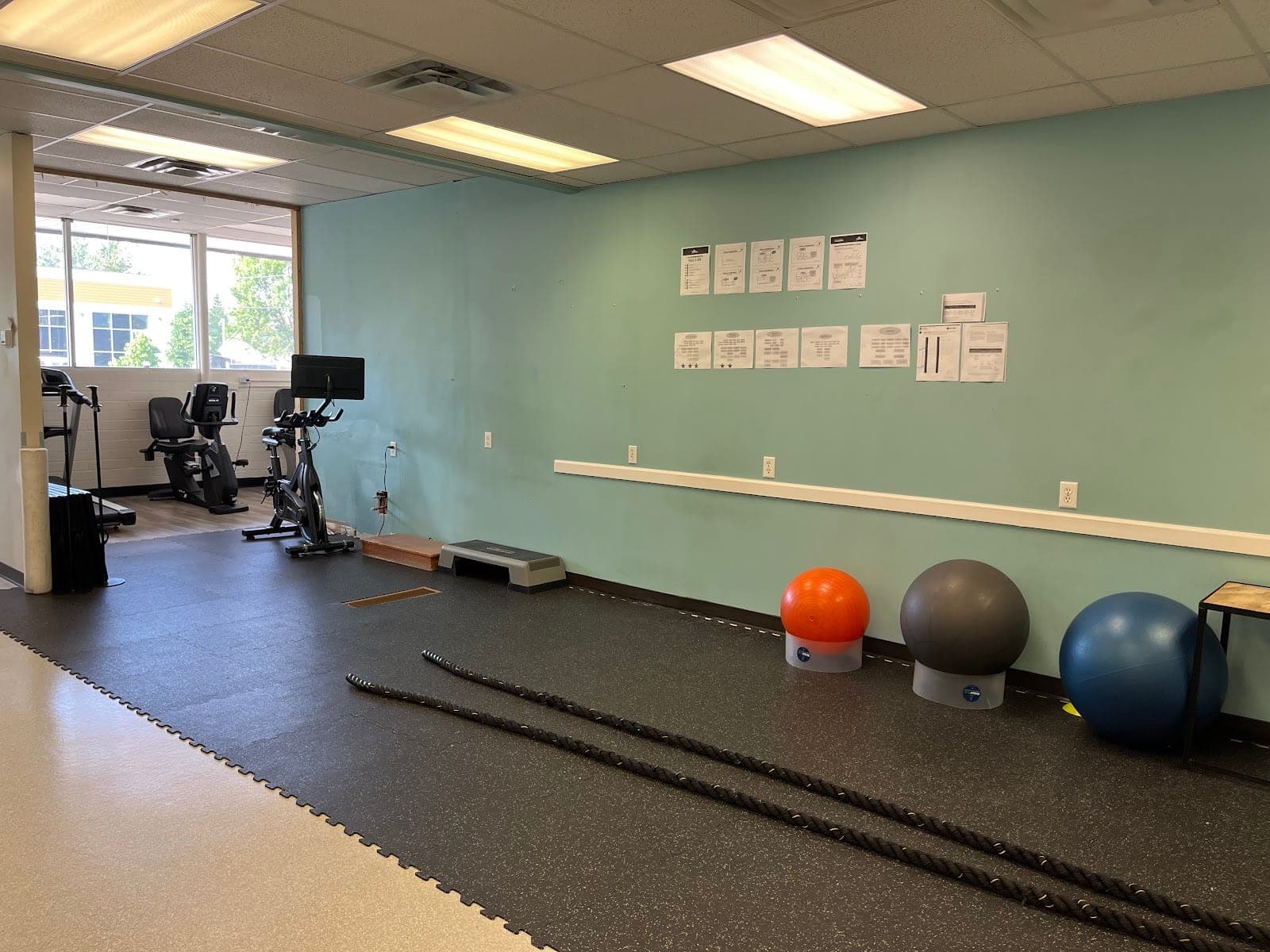 Victoria Sports Physiotherapy Clinic (photo: Kassie Warner, via Google)