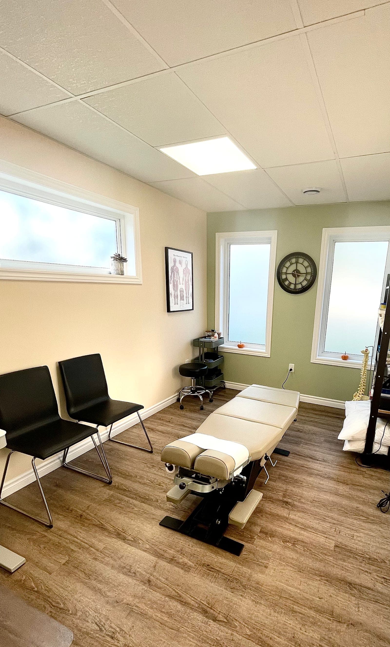 The Wellness Zone (photo: The Wellness Zone, via Google)