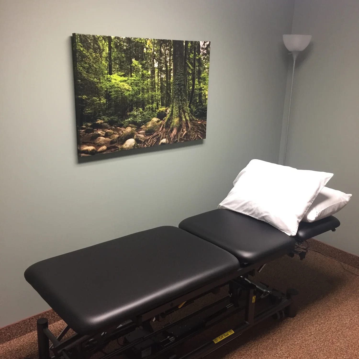 SeniorHome.ca - Root Physiotherapy