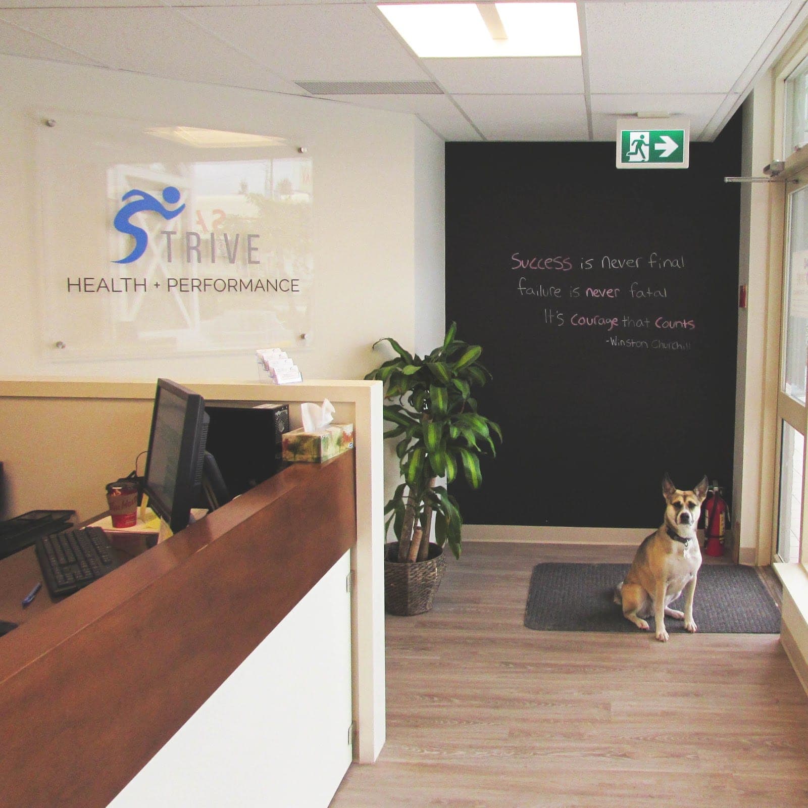 Strive Health and Performance Coquitlam (photo: Strive Health + Performance, via Google)