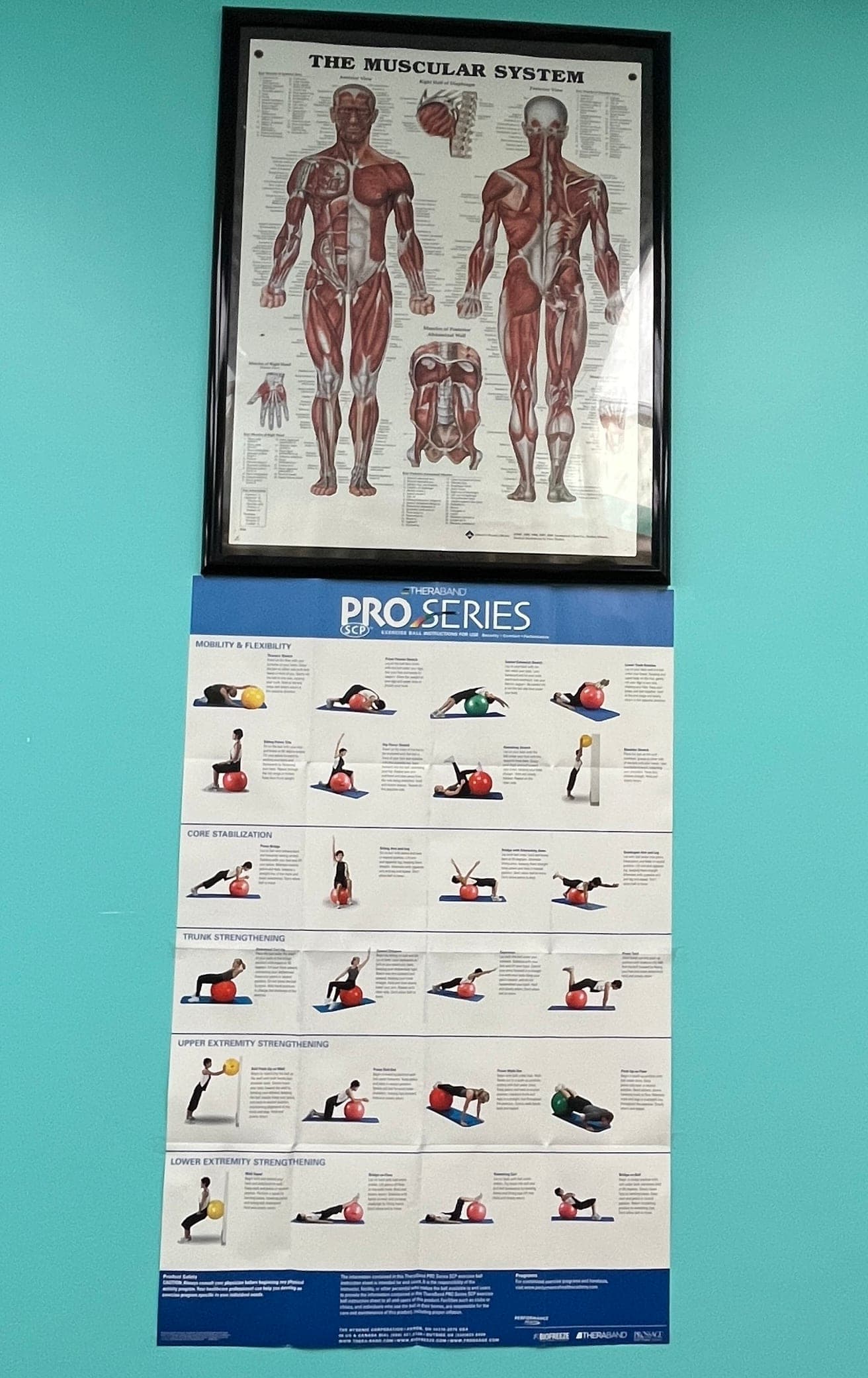 Softtouch Physio & Rehab (photo: Softtouch Physio & Rehab, via Google)