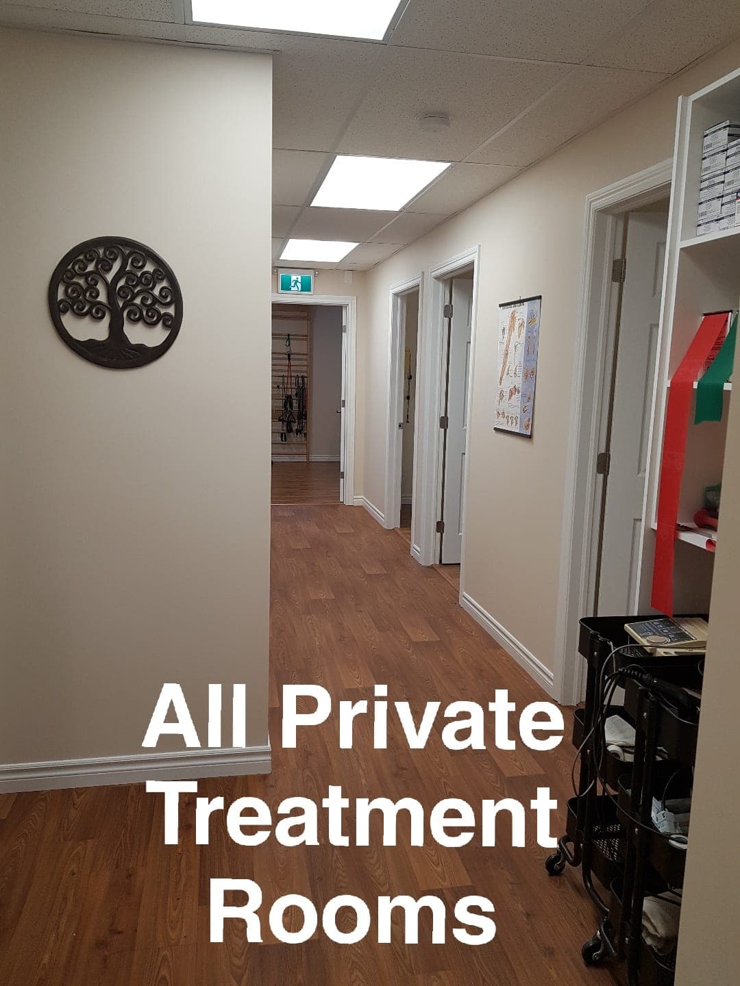 Back on Track Physiotherapy (photo: Back on Track, via Google)