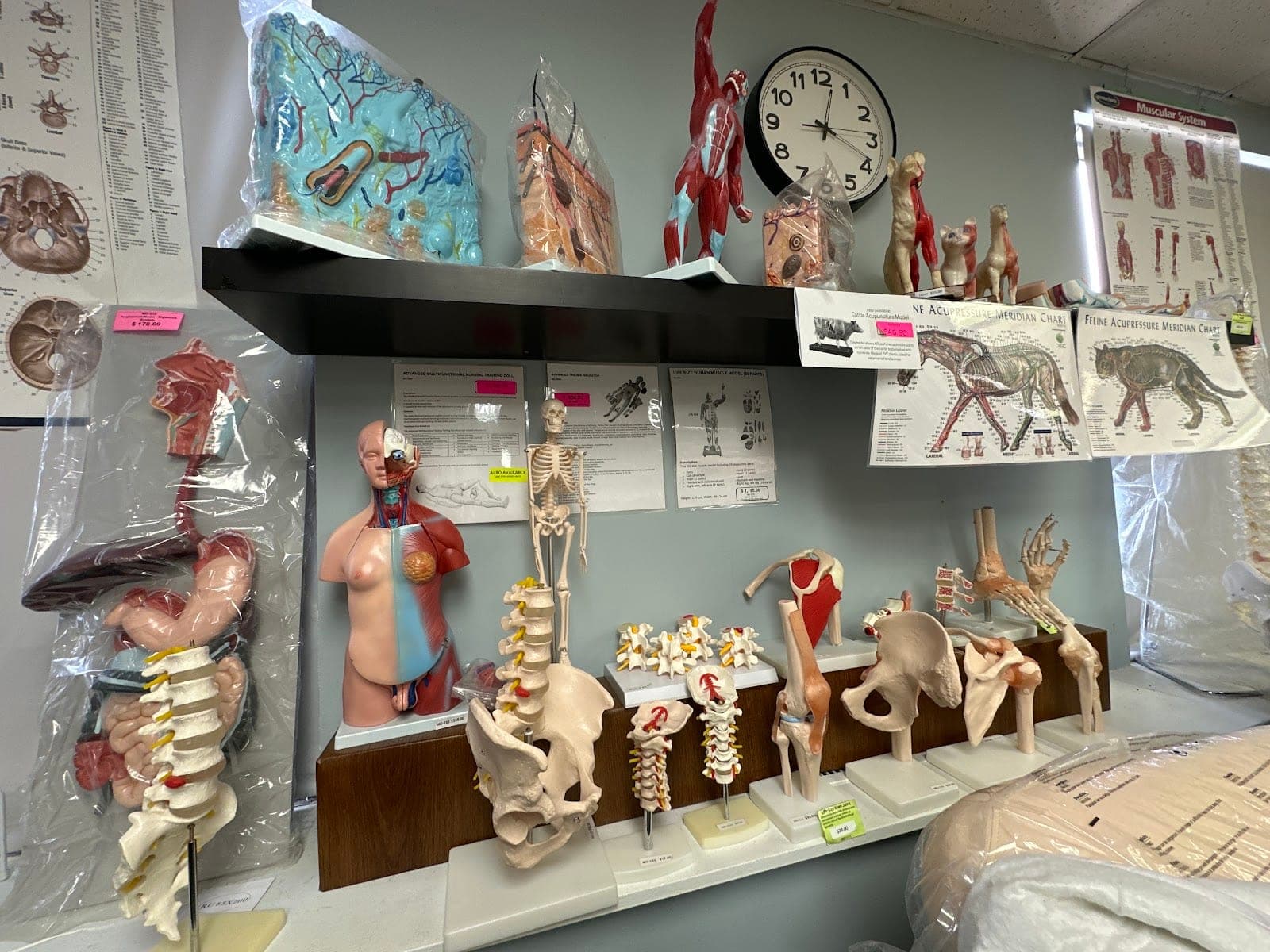 Carbo Medical Supplies (photo: M G, via Google)