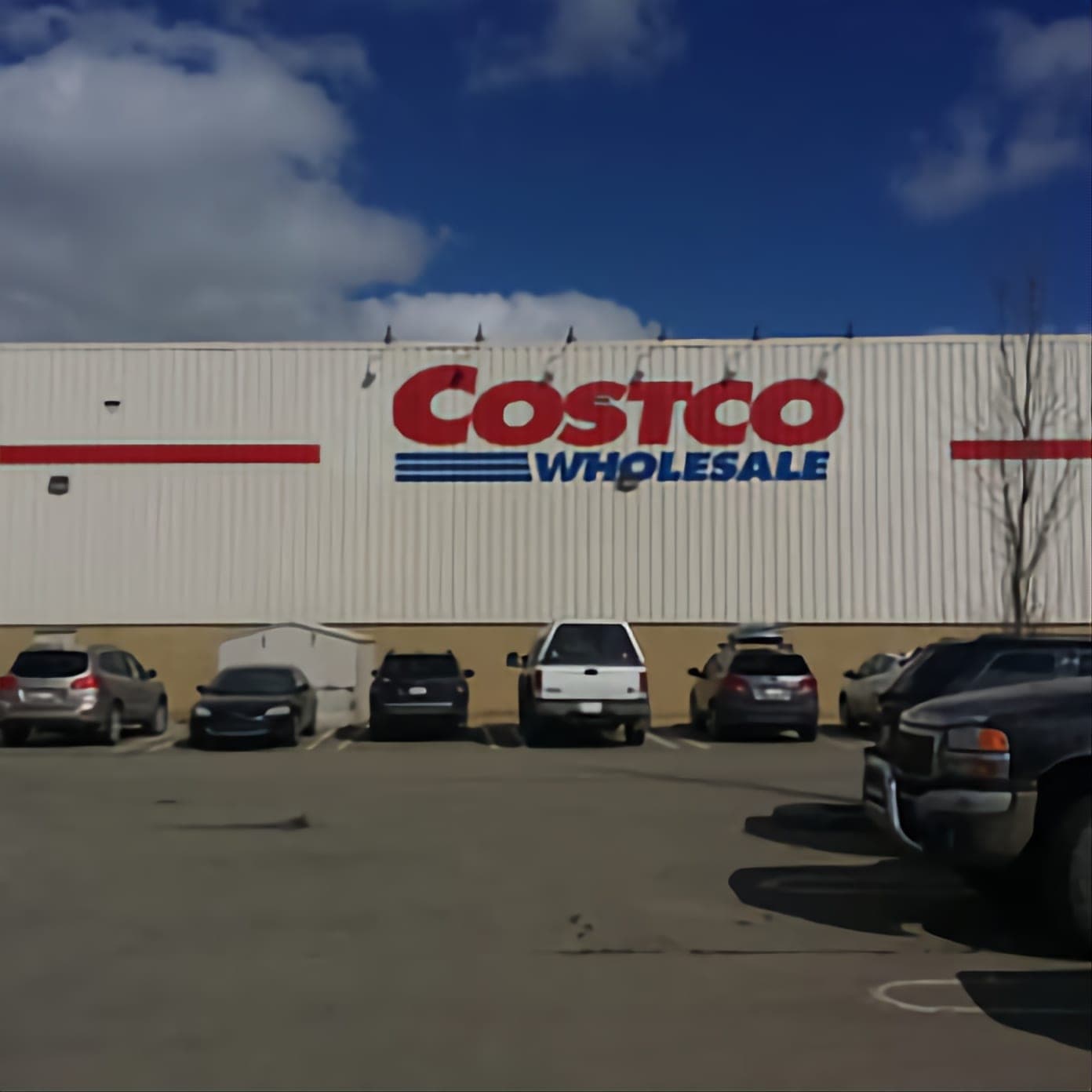 Costco Pharmacy (photo: Lazarus, via Google)