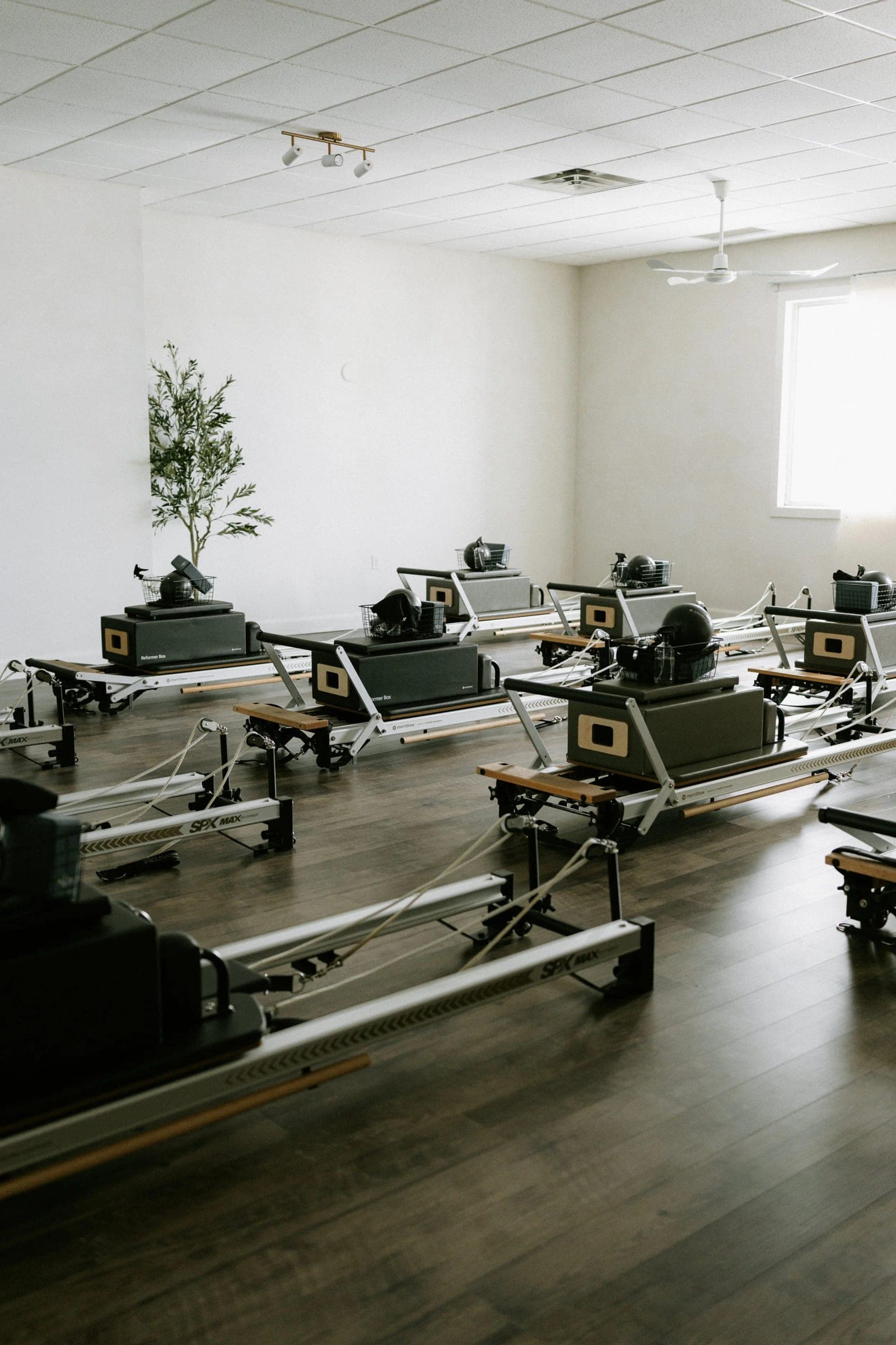 SeniorHome.ca - Aline Wellness