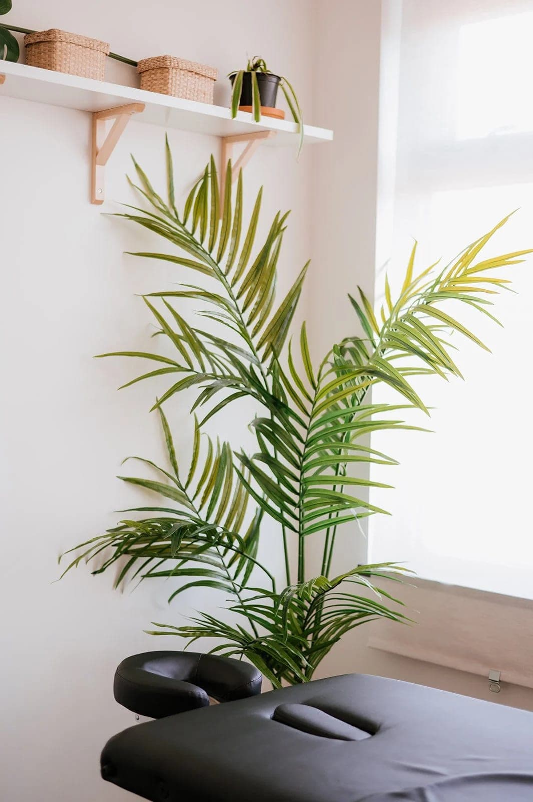 SeniorHome.ca - Cultivated Health Physiotherapy