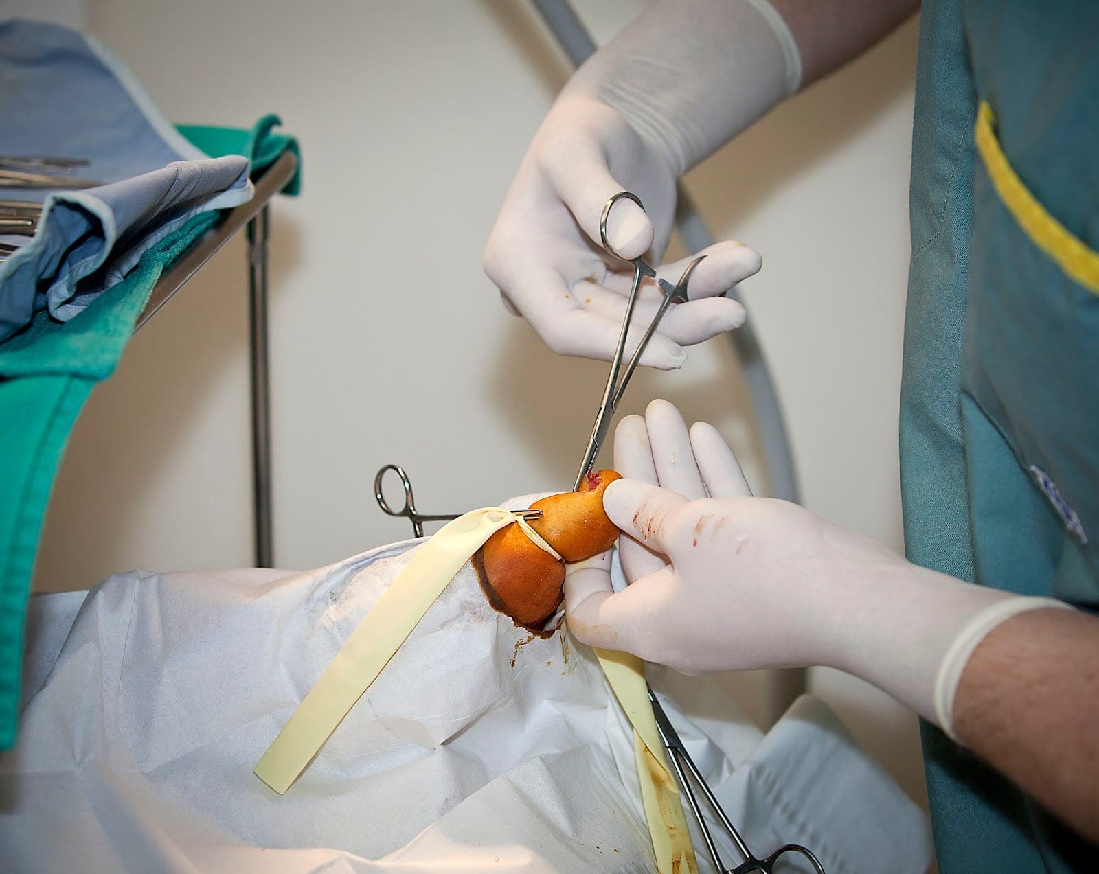 Simard Foot & Ankle Clinic (photo: Simard Foot & Ankle Clinic, via Google)