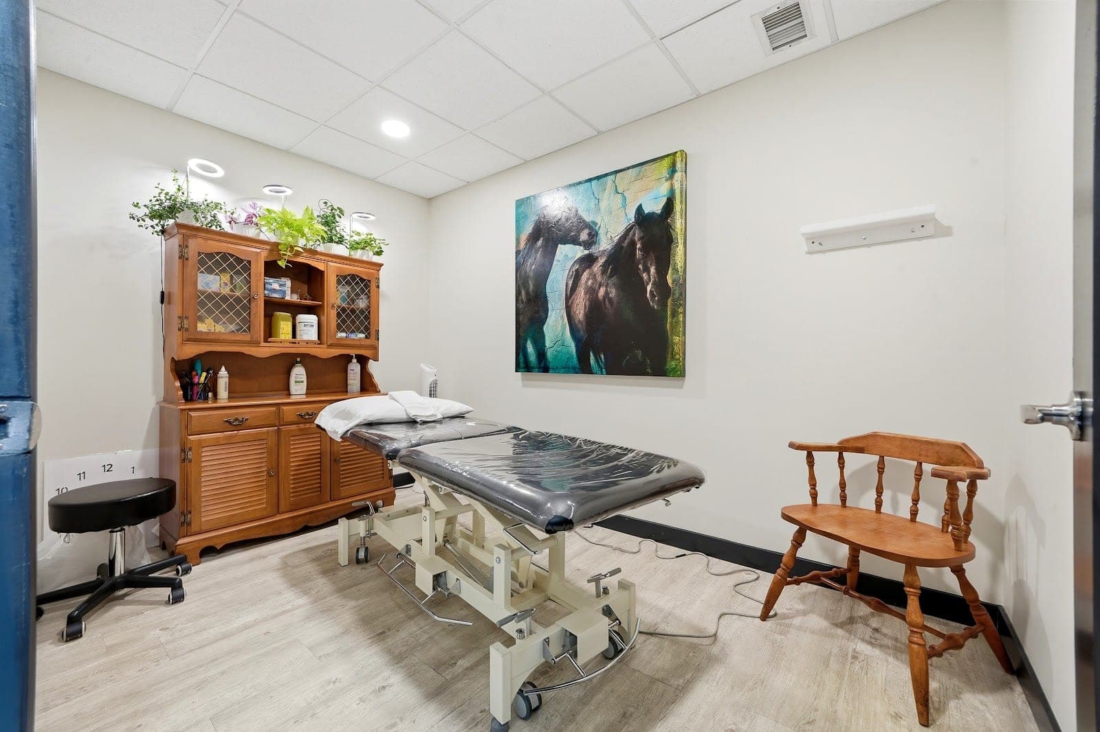Sunshine Physio and Wellness (photo: Sunshine Physio and Wellness, via Google)