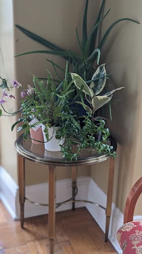 Emmanuel House - Photo 1