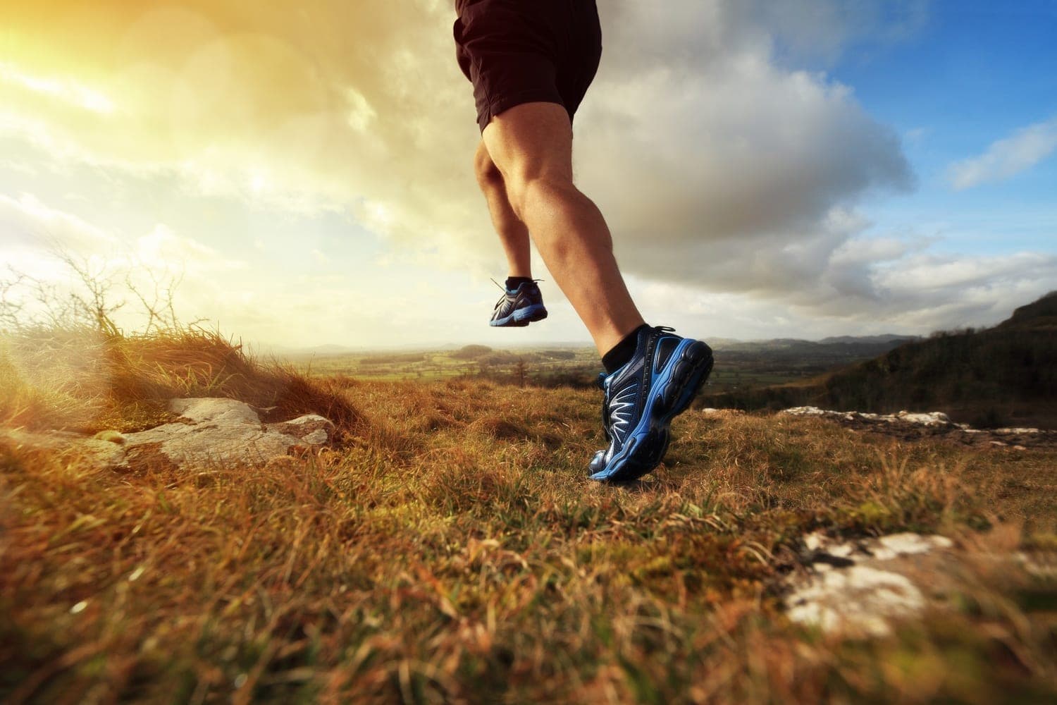 Ascent Physical Therapy (photo: Ascent Physical Therapy, via Google)