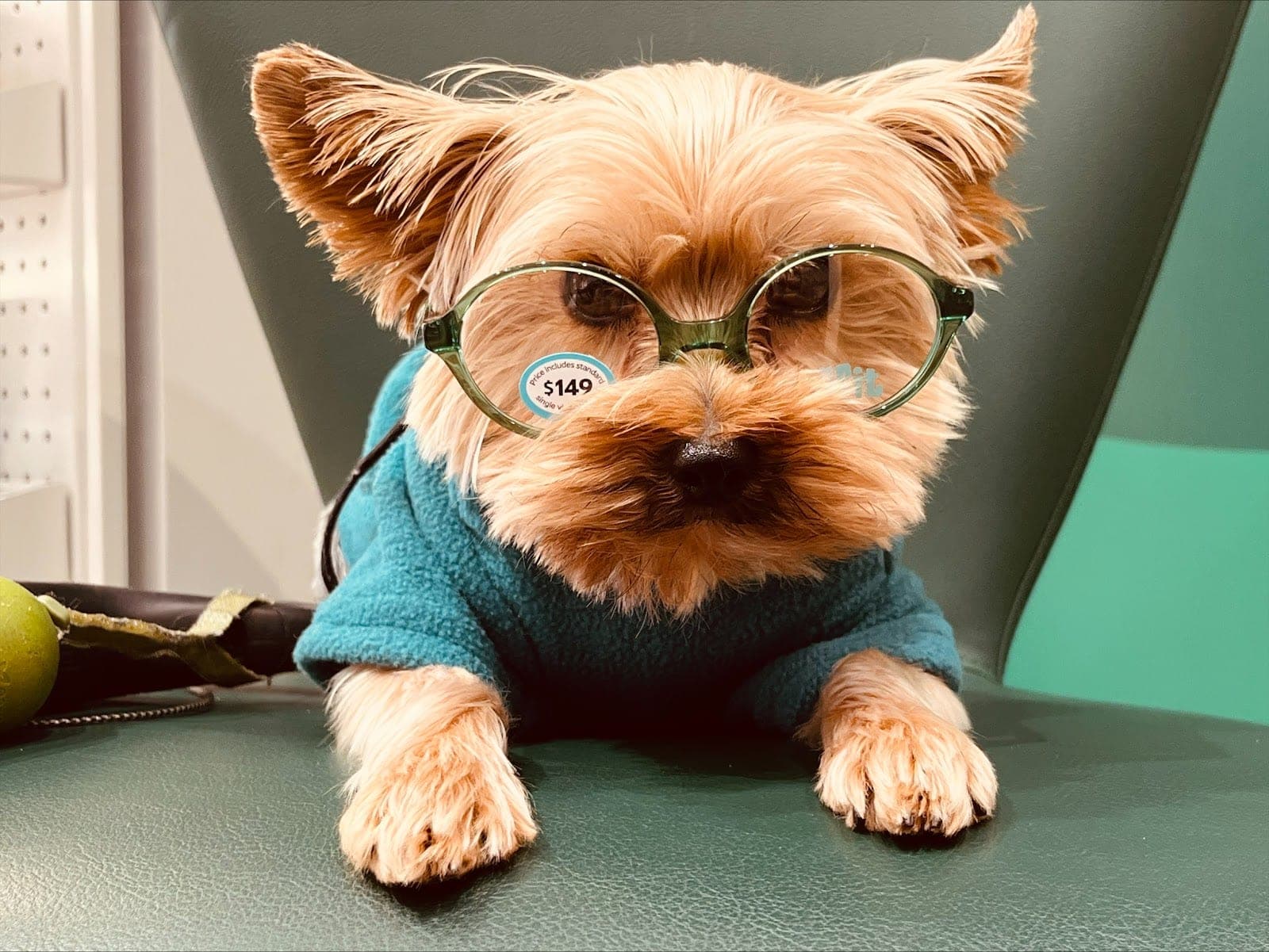 Specsavers Shoppers World Danforth (photo: Specsavers Shoppers World Danforth, via Google)