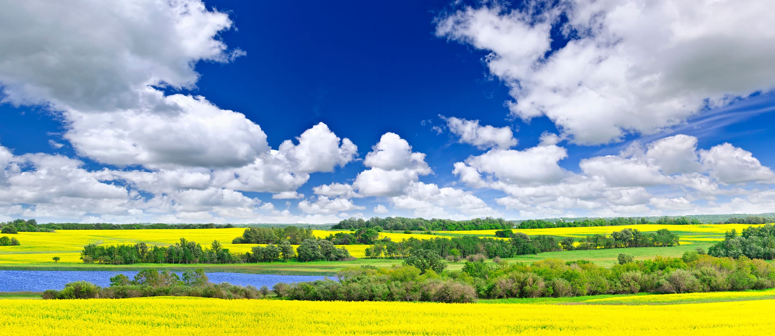 Caleb Village - Photo 1