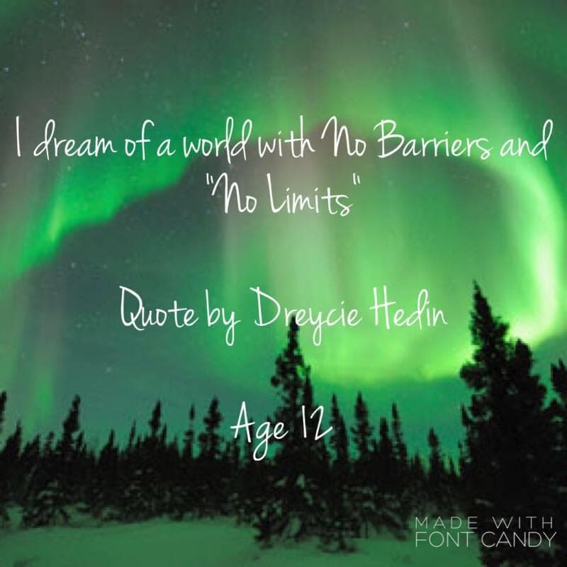 Northern Lights Adaptations (photo: Northern Lights Adaptations, via Google)
