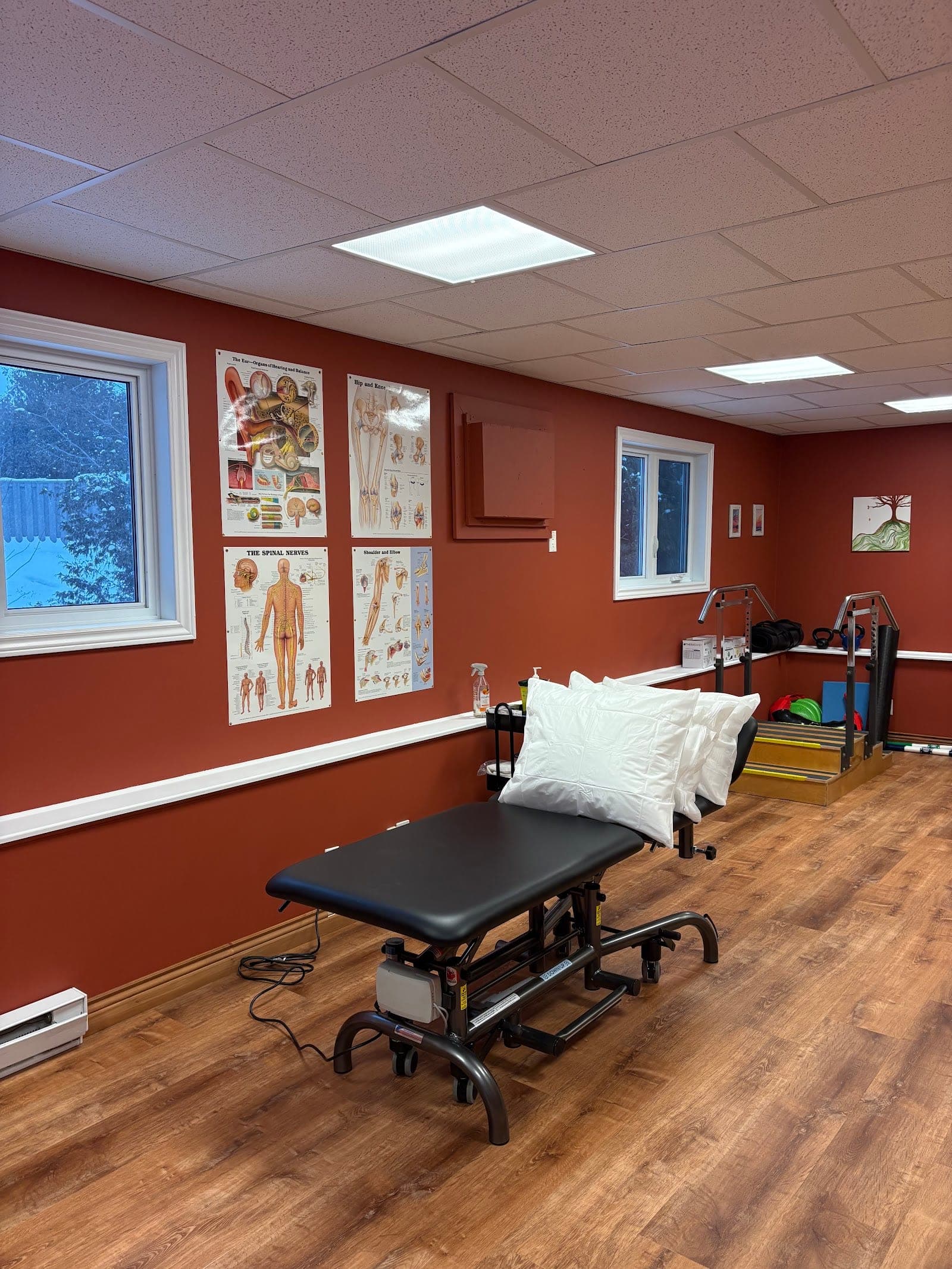 Island Roots Physiotherapy (photo: Alexa Tipper, via Google)