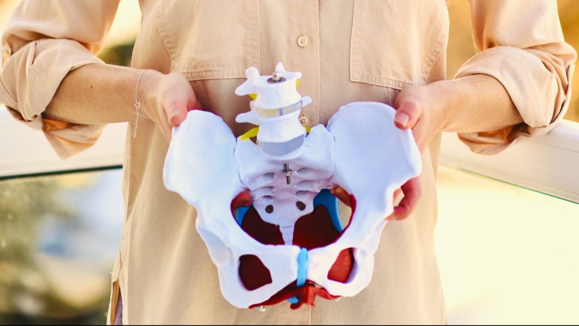 Northern Pelvic Connection (photo: Northern Pelvic Connection, via Google)
