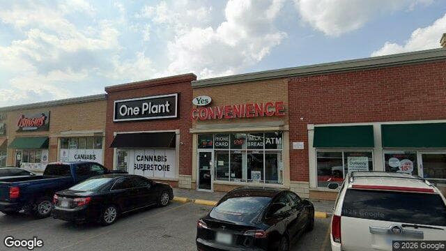 Fung Lisa Dr (Google Street View)