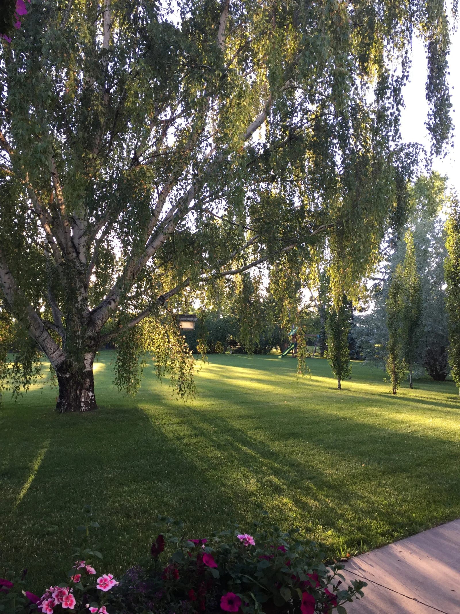 SeniorHome.ca - Madison Manor