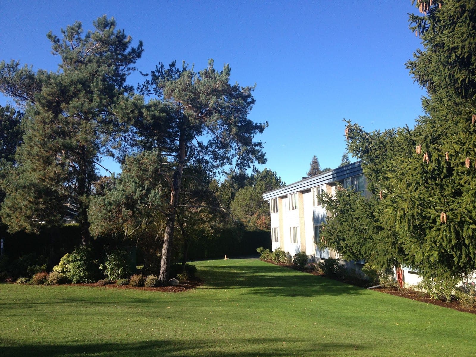 Mount Douglas Seniors Housing Society (photo: Mount Douglas Seniors Housing Society, via Google)